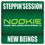 19 сентября: steppin'session: new beings feat. nookie (uk)